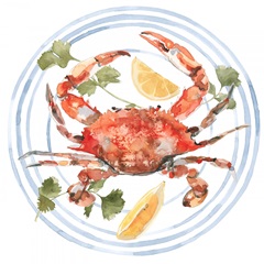 Salty Seafood Collection C