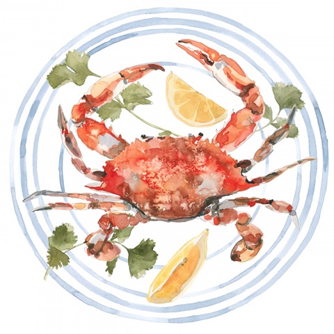 Salty Seafood Collection C