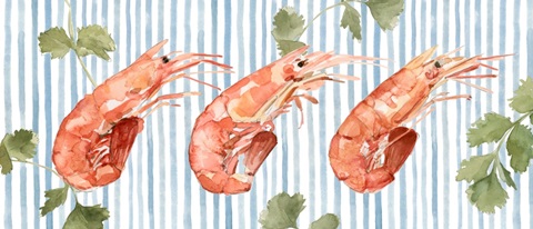 Salty Seafood Collection D