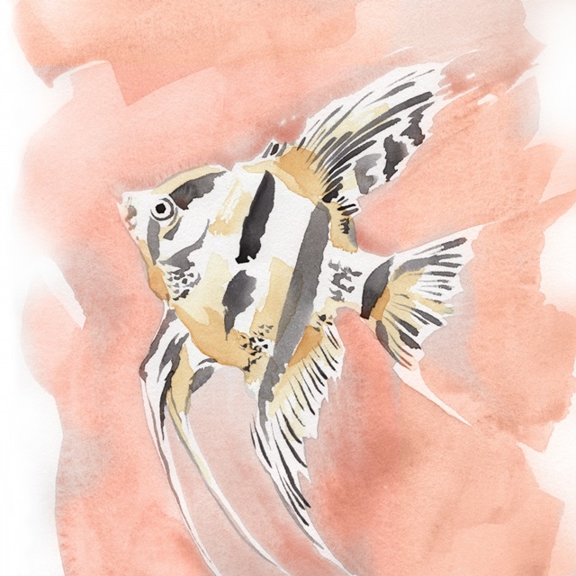 Blush and Ochre Angel Fish II