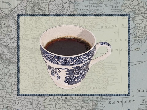 International Cup II