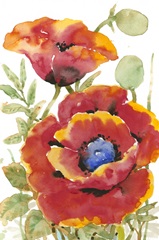 Poppy Floral I