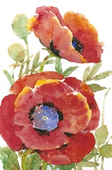 Poppy Floral II