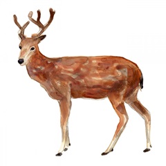 Simple Lodge Animals IV