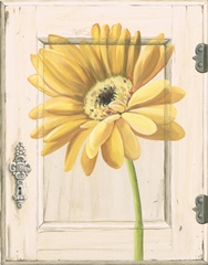 Daisy Door