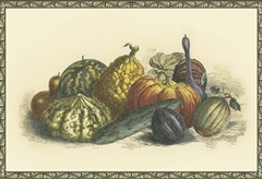 Melons and Gourds