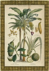 Palm Plate 28