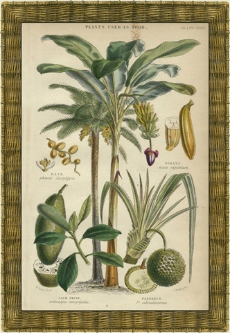 Palm Plate 28