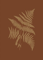 Sepia Ferns on Brick III