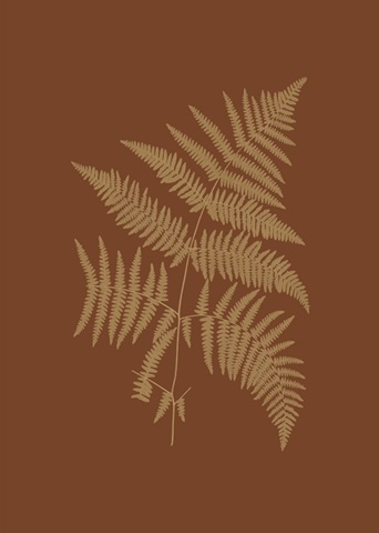 Sepia Ferns on Brick III