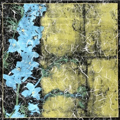 Small Floral Imprint I