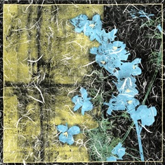 Small Floral Imprint II