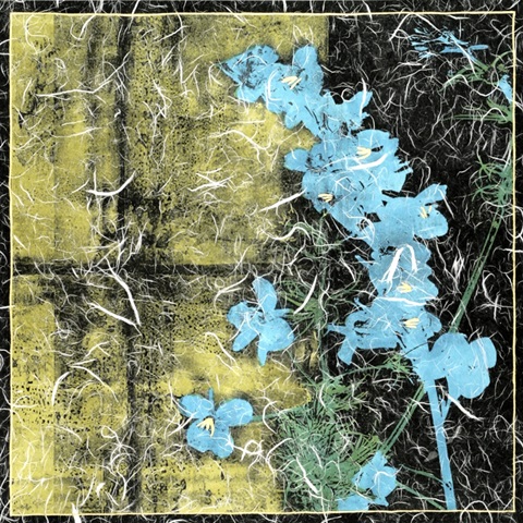 Small Floral Imprint II