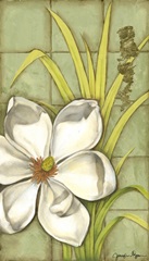 Sugar Magnolia II