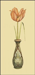 Tulip in Vase I