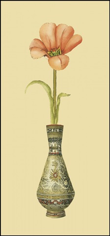 Tulip in Vase II