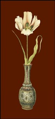Tulip in Vase III