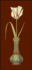 Tulip in Vase IV