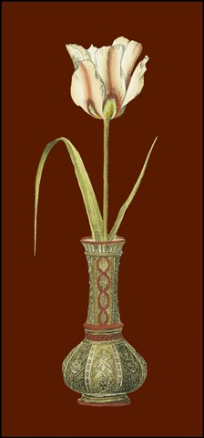 Tulip in Vase IV