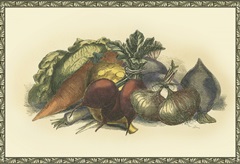 Vegetables from the Earth