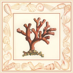 Coral with Shell Border I