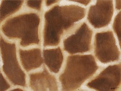 Giraffe II