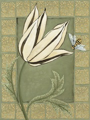 Ivory Tulip I
