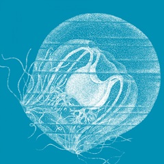 Saturated Sea Life IV