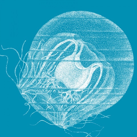 Saturated Sea Life IV