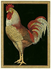 Single Rooster II