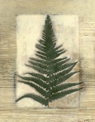 Texturized Fern I