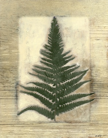 Texturized Fern I