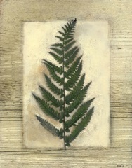 Texturized Fern II