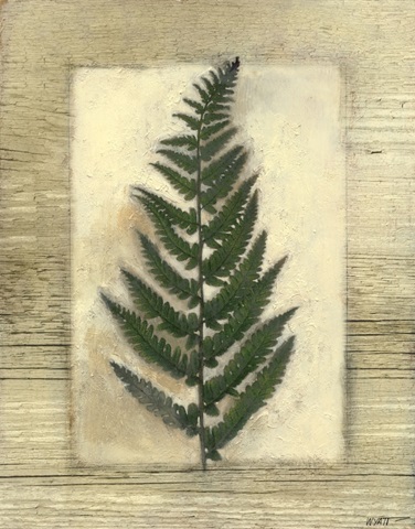 Texturized Fern II