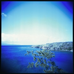 Holga Hawaii I
