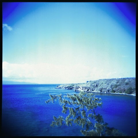Holga Hawaii I