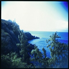 Holga Hawaii II