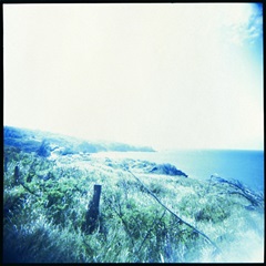 Holga Hawaii III
