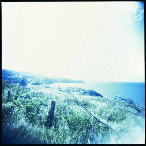 Holga Hawaii III