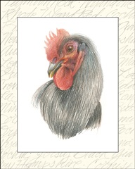 Rooster Insets IV