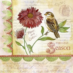 Spread Your Wings II