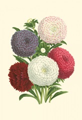 Bountiful Bouquet II