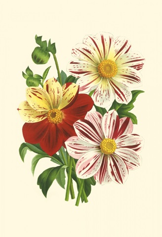 Bountiful Bouquet III