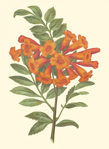 Bountiful Garden III