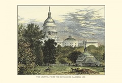 Capitol From the Botanical Gardens