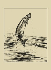 Fisherman's Delight III