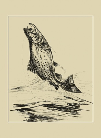 Fisherman's Delight IV