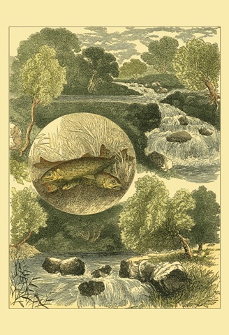 Fisherman's Vignette I