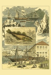 Fisherman's Vignette III