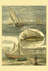 Fisherman's Vignette IV